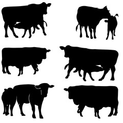 cow and calf. black cow vector