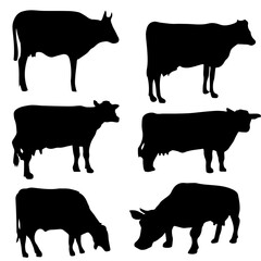 black cow vector black and white