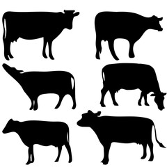 cow and calf. black cow vector..