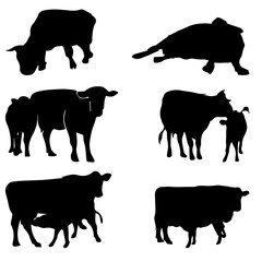 black cow vector image download and illustration