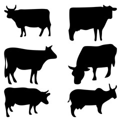 cow and calf. black cow vector