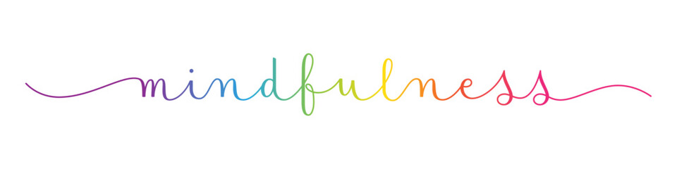 MINDFULNESS colorful vector brush calligraphy banner with swashes