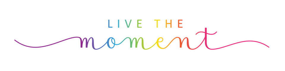 LIVE THE MOMENT black vector brush calligraphy banner with swashes