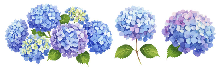 紫のアジサイの花びらと葉の水彩風のイラストセット 夏の花 紫陽花 花束/ブーケ/一輪の花
