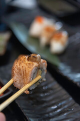 Sushi is a Japanese food, rice balls with toppings