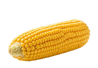 Golden Corn A Symphony of Sweetness isolated on transparent baackground