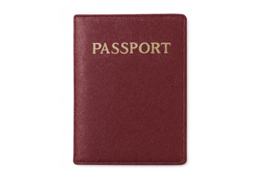 Golden-inscribed red passport lying flat, symbolizing global mobility and personal identification process