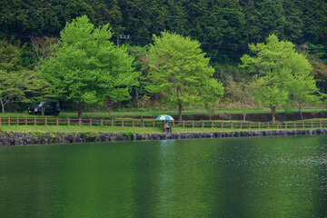 Japan is beautiful whenever you visit