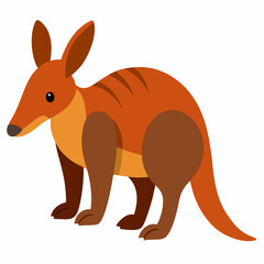 illustration of a kangaroo