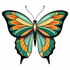 butterfly on white background