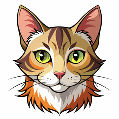 vector illustration of a cat