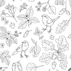 Nature motifs. Flowers, leaves. Vector pattern on white background. Line drawing