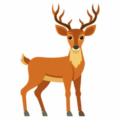 Obraz premium deer vector illustration