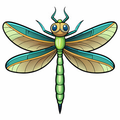 dragonfly vector illustration