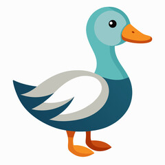 duck on white background