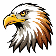 american bald eagle
