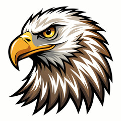 american bald eagle