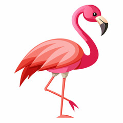 pink flamingo bird