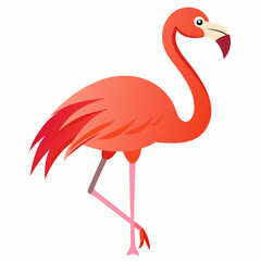 pink flamingo isolated on white