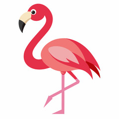 pink flamingo vector