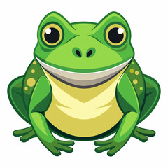green frog on white
