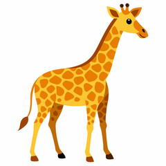 giraffe vector illustration