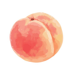 水彩で描いた桃のイラスト