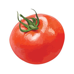 水彩で描いたトマトのイラスト