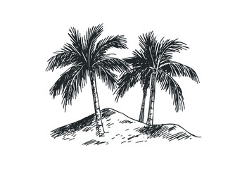 Hand-drawn palm trees on a beach. Vector retro hand drawn illustration