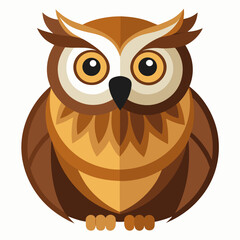 owl on white background