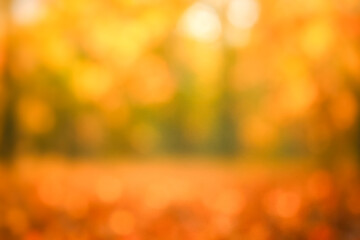 Bright blurred autumn background with yellow and orange colors, fall forest, soft light, bokeh effect, abstract scene for seasonal promotion, design