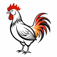 rooster isolated on white background