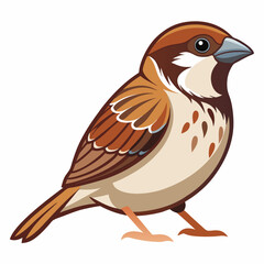 sparrow on a white background