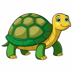 turtle, tortoise, animal, reptile, shell, isolated, nature, pet, wildlife, slow, cartoon, cute, white, wild, vector, illustration, animals, green, amphibian, terrapin, fun
