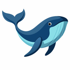 dolphin isolated on white background