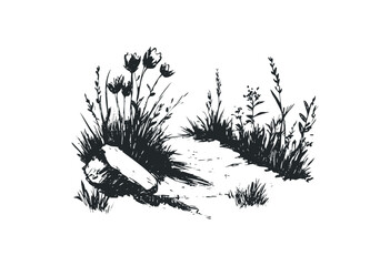 Monochrome botanical illustration with wildflowers and grass. Vector retro hand drawn illustration