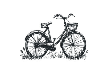 Obraz premium Vintage bicycle sketch with basket in grass setting. Vector retro hand drawn illustration