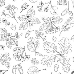 Nature motifs. Flowers, leaves. Vector pattern on white background. Line drawing