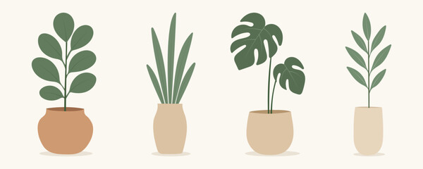 House plants in pots. Element for design house, room or office. Isolated element on white background.