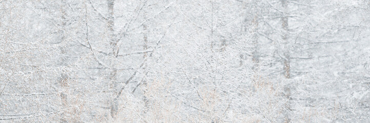 Snowfall on the background of snow-covered forest. Cold and snowy winter weather in the woodland. Snowflakes on a blurry background. Shallow depth of field. Wide panoramic winter background for design