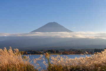 Golden-hour light bathes Mount Fuji, Lake Kawaguchi, and swaying pampas grass. A thin cloud band...