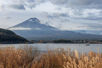 Soft clouds surround Mount Fuji as the morning unfolds over Lake Kawaguchi, where reeds in the...