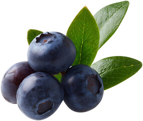 Obraz premium 블루베리