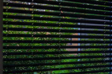 Window with blinds in room, closeup. High quality photo