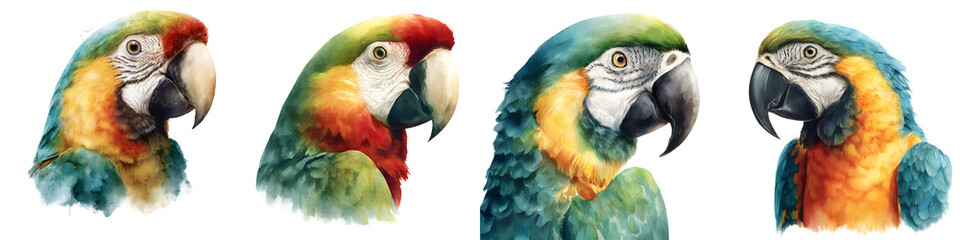 Naklejka premium Vibrant Parrot Portraits