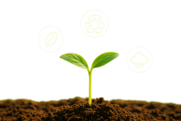 Close-up of a young green seedling sprouting from moist soil, surrounded by glowing transparent eco icon bubbles floating mid-air