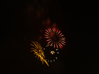 Blanes Sky Blooms