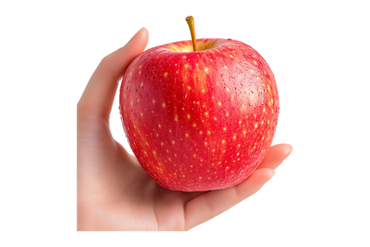 hand holding red apple isolated on transparent background
