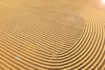 Close up of coffee beans drying in the sun          