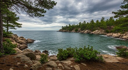 a rocky shore with trees and rocks